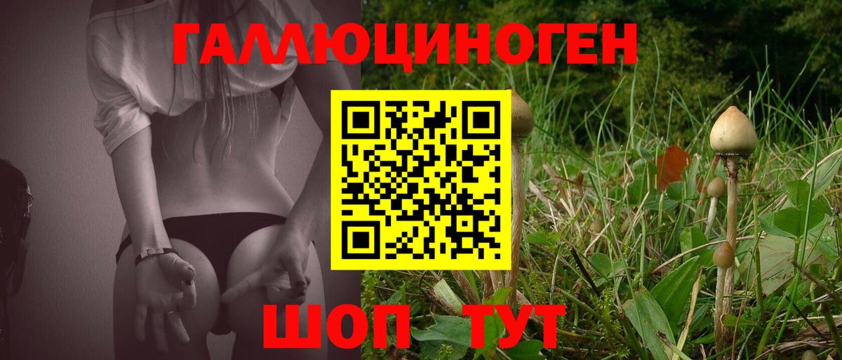 Псилоцибиновые грибы Psilocybine cubensis Грязи